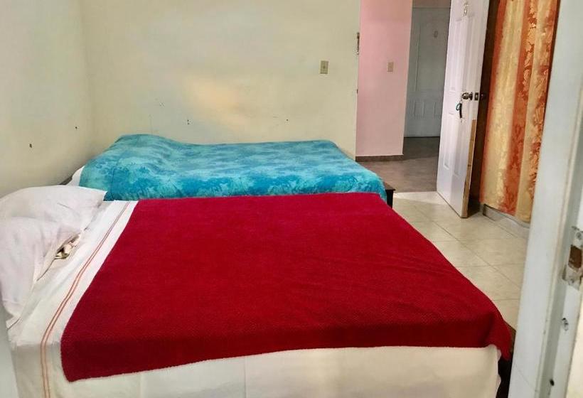 بنسيون Black Lion Inn