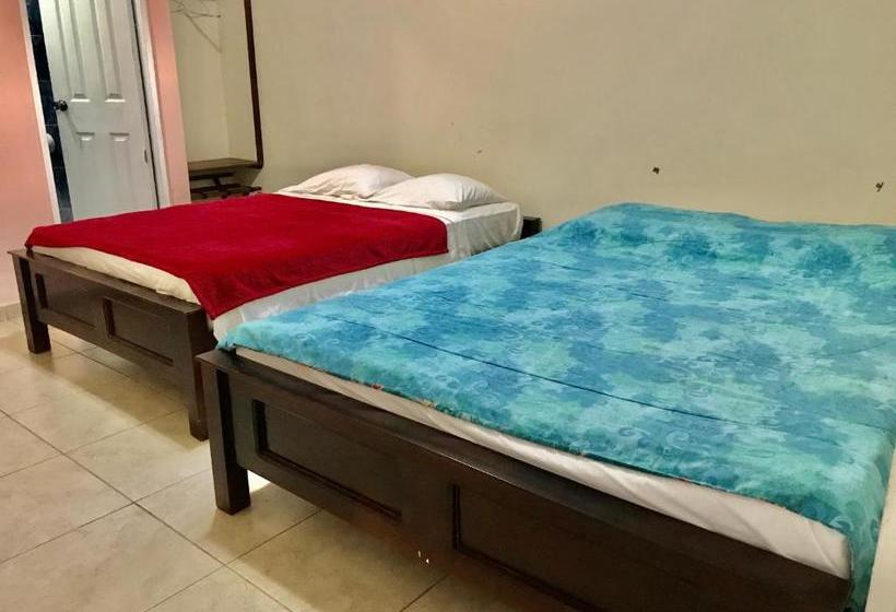 بنسيون Black Lion Inn