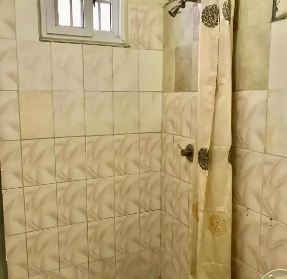 Majatalo Black Lion Inn