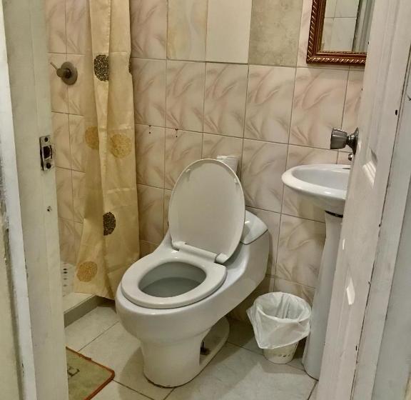 بنسيون Black Lion Inn