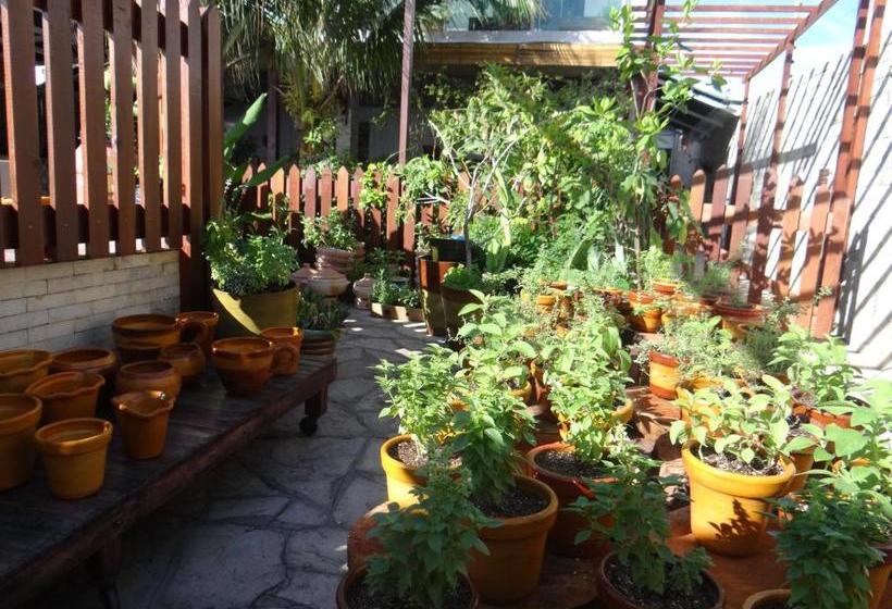 هاستل Pousada Espaço Luz Do Sol  Beiramar