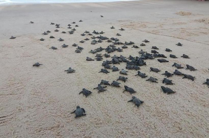 هاستل Pousada Espaço Luz Do Sol  Beiramar