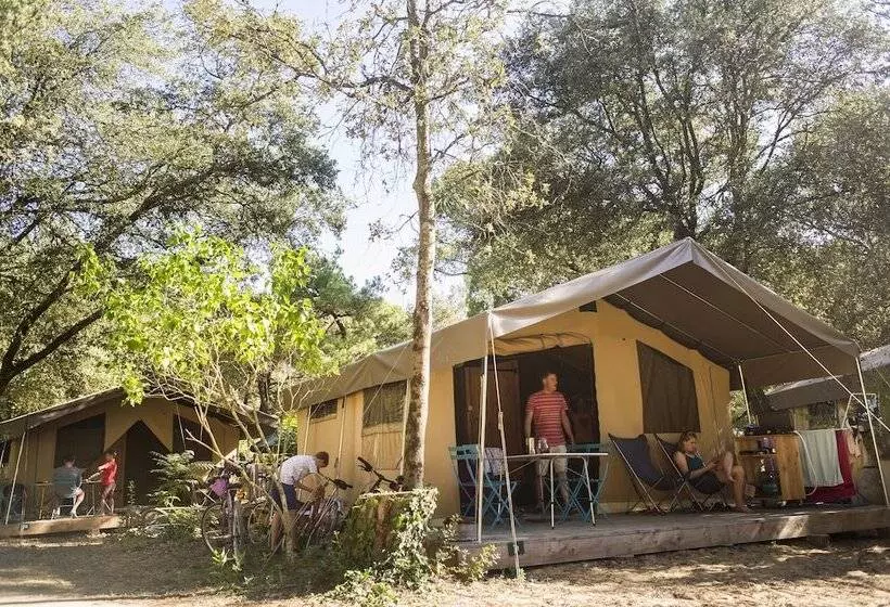 Hotelli Huttopia Ile De Ré   Chardons Bleus