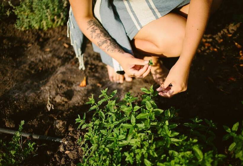 酒店 Camping Naturiste Riva Bella 4