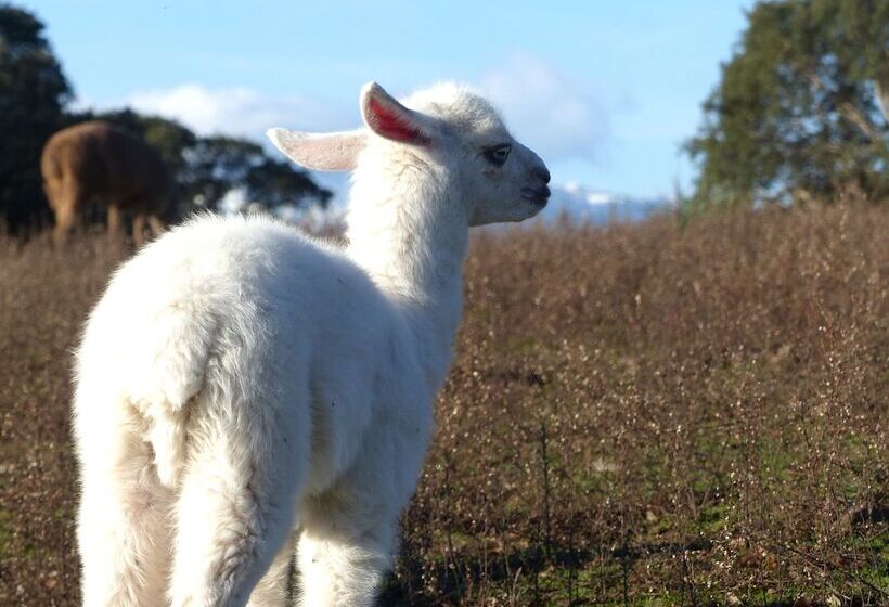 酒店 Camping Naturiste Riva Bella 4