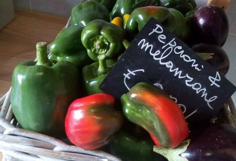 Maaseutuhotelli Camping Agrituristico Carso