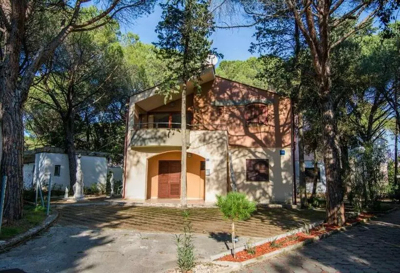 Apartment Maestral