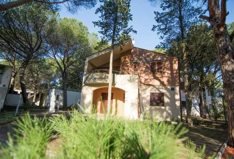 Apartment Maestral