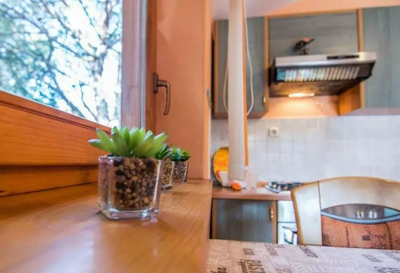 Apartment Maestral