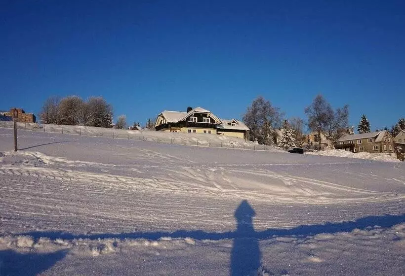 Fantastic Apartment In Frauenwald Near Forest