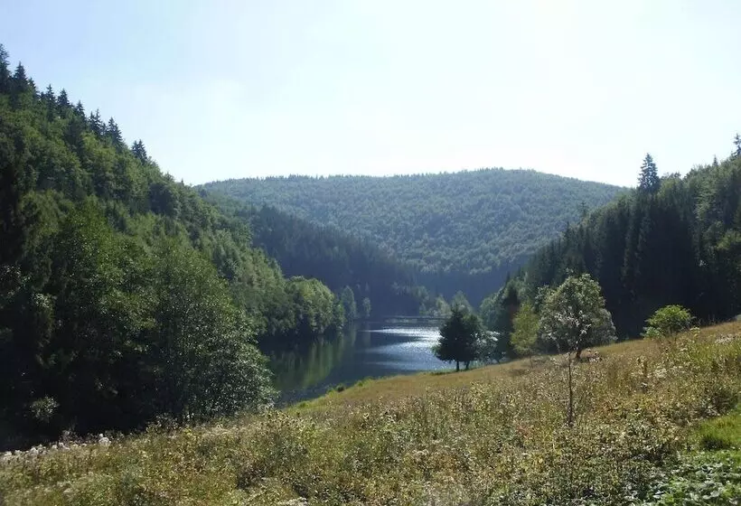 Fantastic Apartment In Frauenwald Near Forest