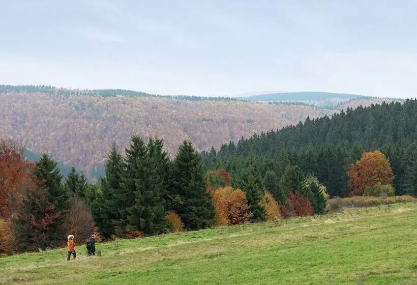 Fantastic Apartment In Frauenwald Near Forest