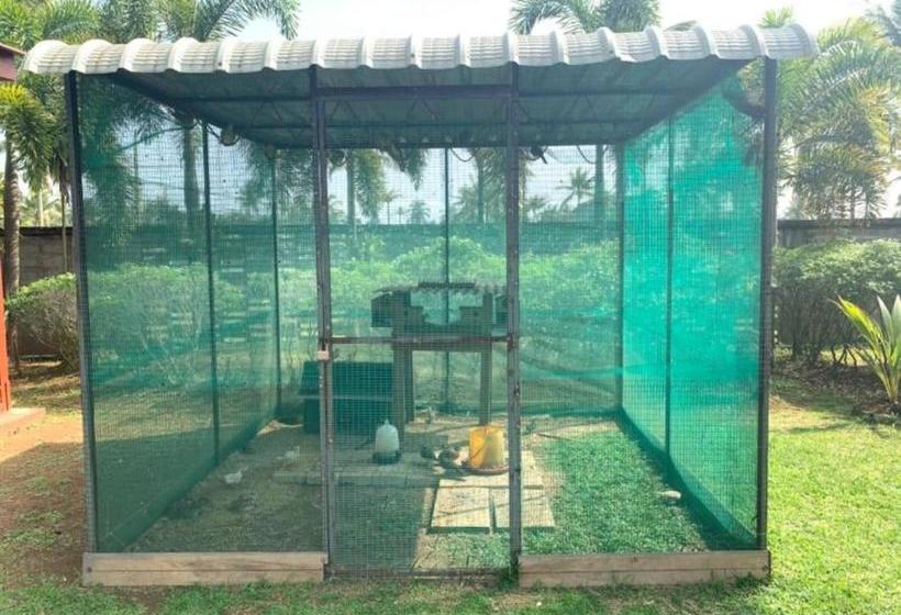 Szálloda Cempaka Inn Chalet