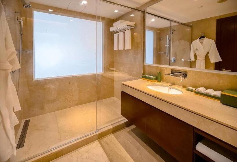 هتل Holiday Inn Dhaka City Centre By Ihg