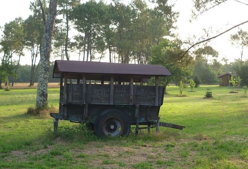 پانسیون Arrion Chambres D Hôtes