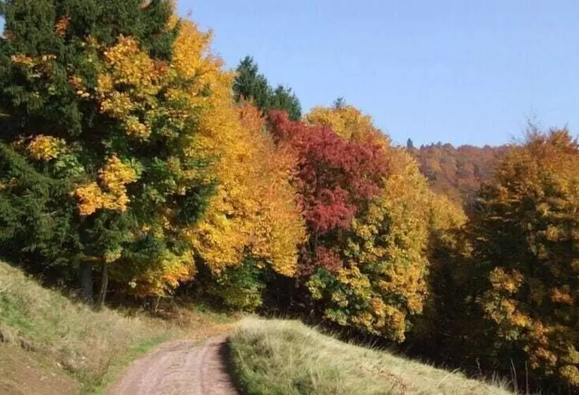 Quaint Farmhouse In Langenbach Near Lake