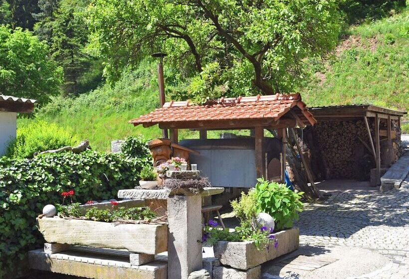 Quaint Farmhouse In Langenbach Near Lake