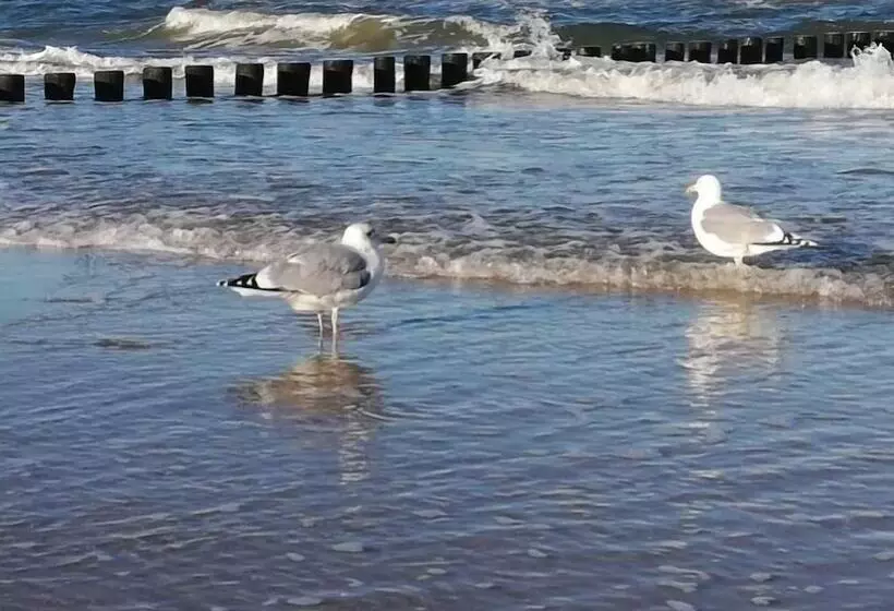 ückeritz, Villa Wald Eck   Erdgeschoss
