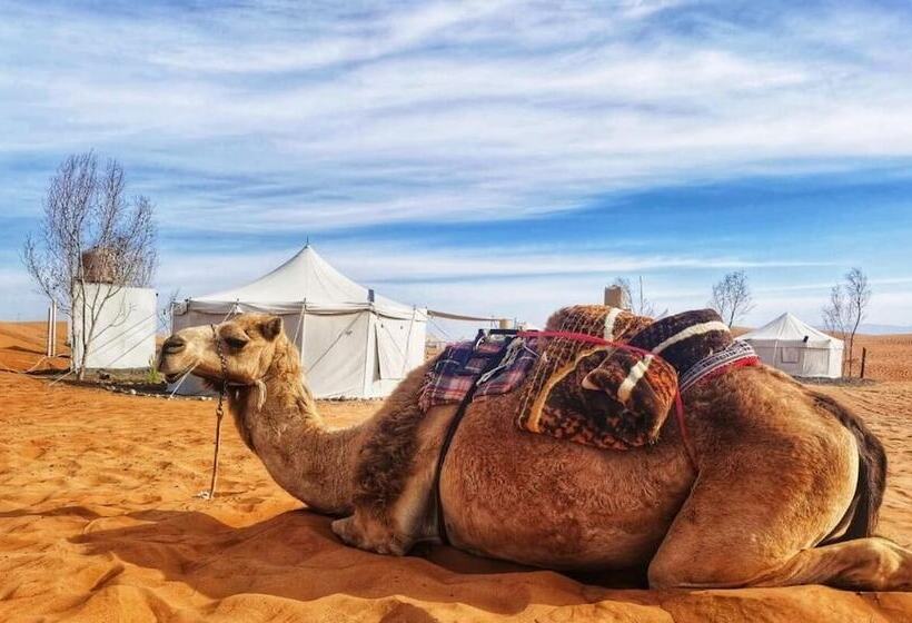 هتل Alsarmadi Desert Camp