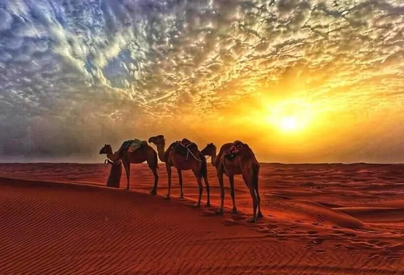 هتل Alsarmadi Desert Camp