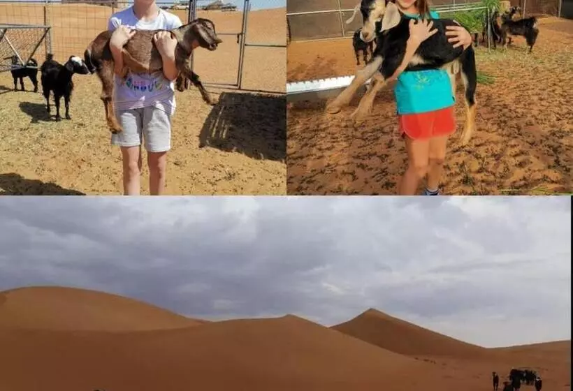 هتل Alsarmadi Desert Camp