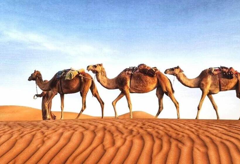 هتل Alsarmadi Desert Camp