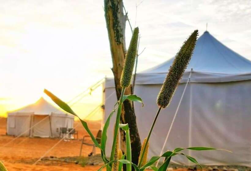 هتل Alsarmadi Desert Camp