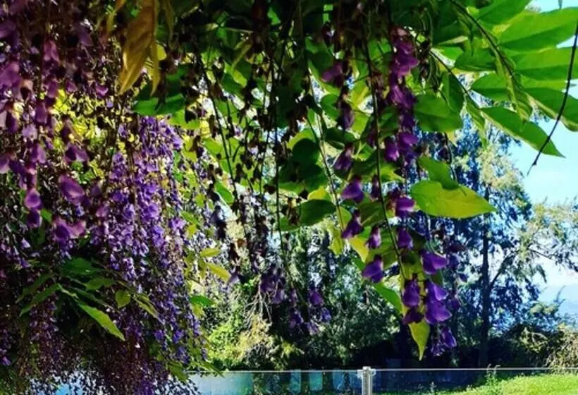 Hotelli Camping U Casone