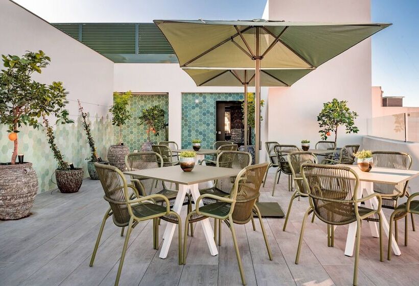 فندق Palacio Santa Clara, Autograph Collection