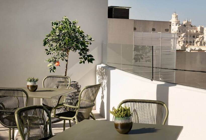 فندق Palacio Santa Clara, Autograph Collection