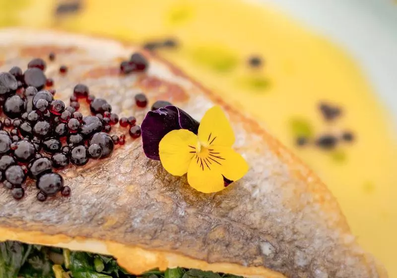 ホテル White Donkey Boutique