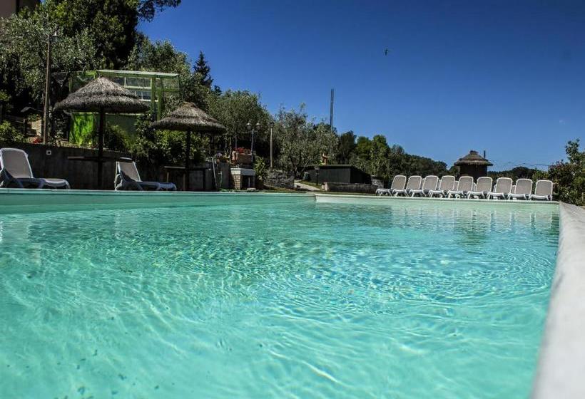 Il Nido D Amore   Lorenzana Colombaie