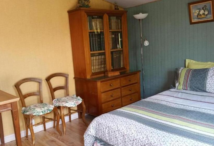 بنسيون Coin Secret