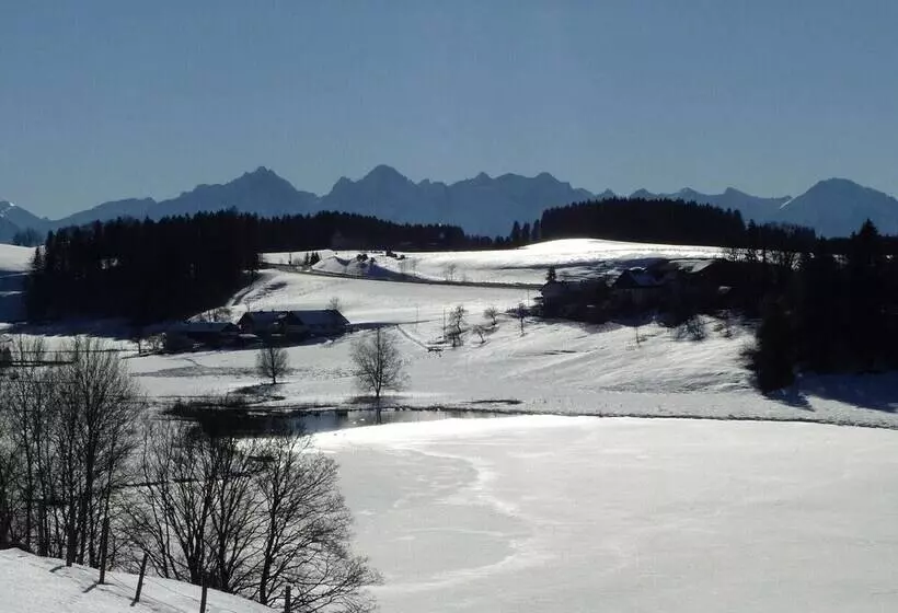 Spacious Apartment Near The Ski Area