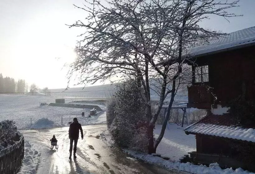 Spacious Apartment Near The Ski Area
