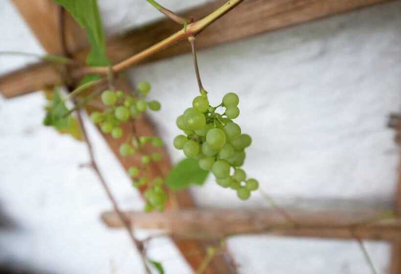 Spacious Apartment Near The Ski Area