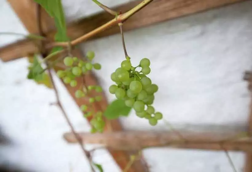 Spacious Apartment Near The Ski Area