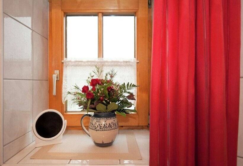 Spacious Apartment Near The Ski Area