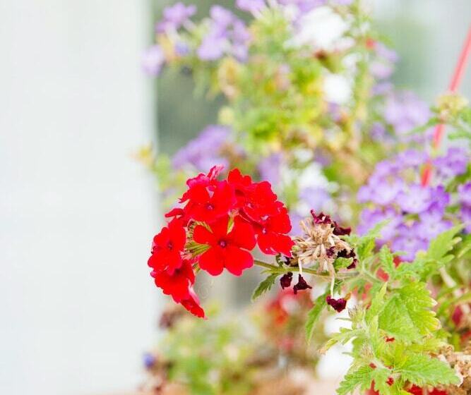 Roof Garden Seaside Lux Home