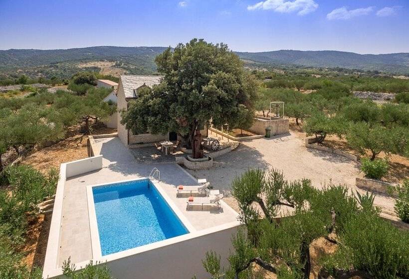 Villa Dubrava Tranquil Retreat Nestled In An Olive Grove For Serene Escapes