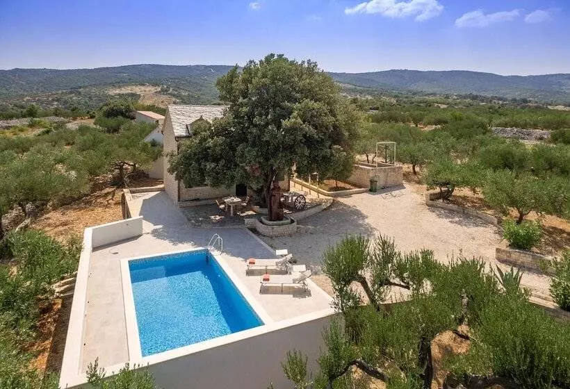 Villa Dubrava Tranquil Retreat Nestled In An Olive Grove For Serene Escapes