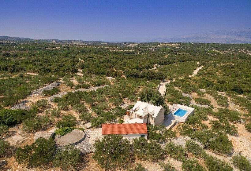 Villa Dubrava Tranquil Retreat Nestled In An Olive Grove For Serene Escapes