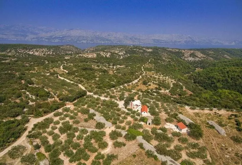 Villa Dubrava Tranquil Retreat Nestled In An Olive Grove For Serene Escapes