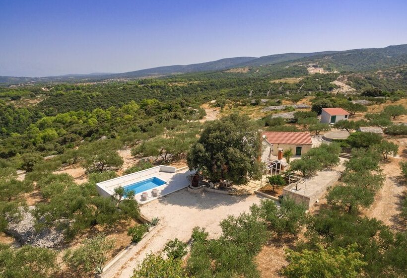 Villa Dubrava Tranquil Retreat Nestled In An Olive Grove For Serene Escapes
