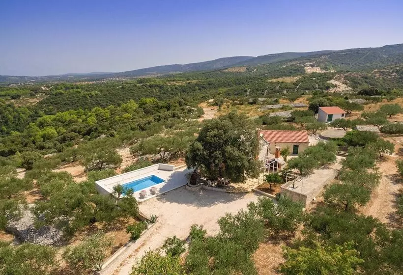 Villa Dubrava Tranquil Retreat Nestled In An Olive Grove For Serene Escapes