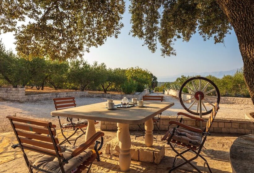 Villa Dubrava Tranquil Retreat Nestled In An Olive Grove For Serene Escapes
