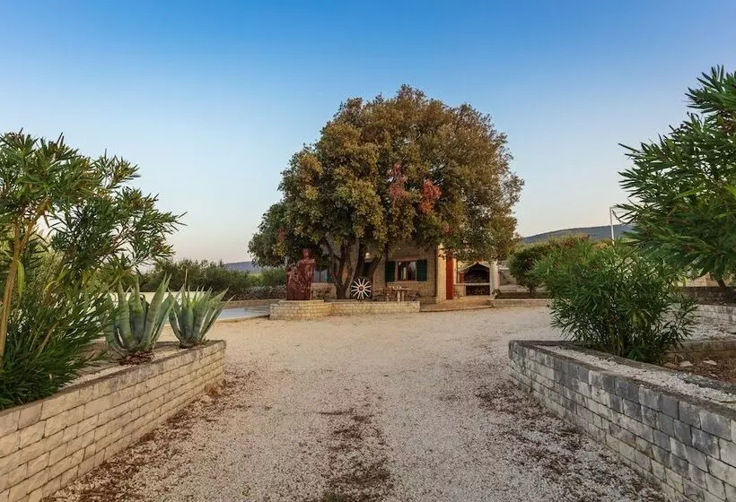 Villa Dubrava Tranquil Retreat Nestled In An Olive Grove For Serene Escapes