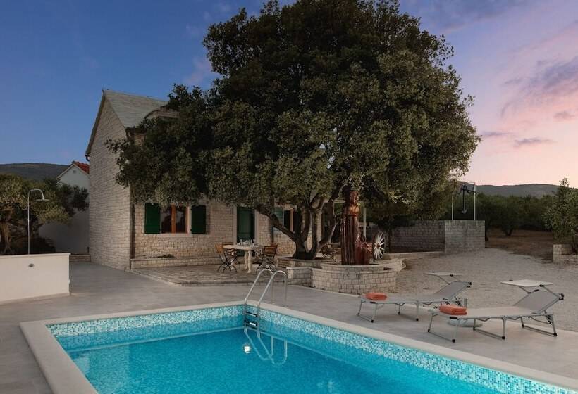 Villa Dubrava Tranquil Retreat Nestled In An Olive Grove For Serene Escapes
