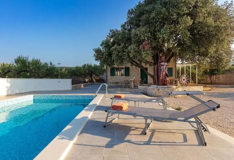 Villa Dubrava Tranquil Retreat Nestled In An Olive Grove For Serene Escapes