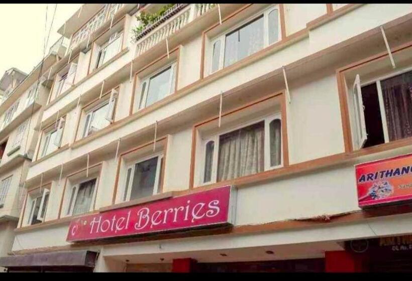 בית מלון כפרי Berries